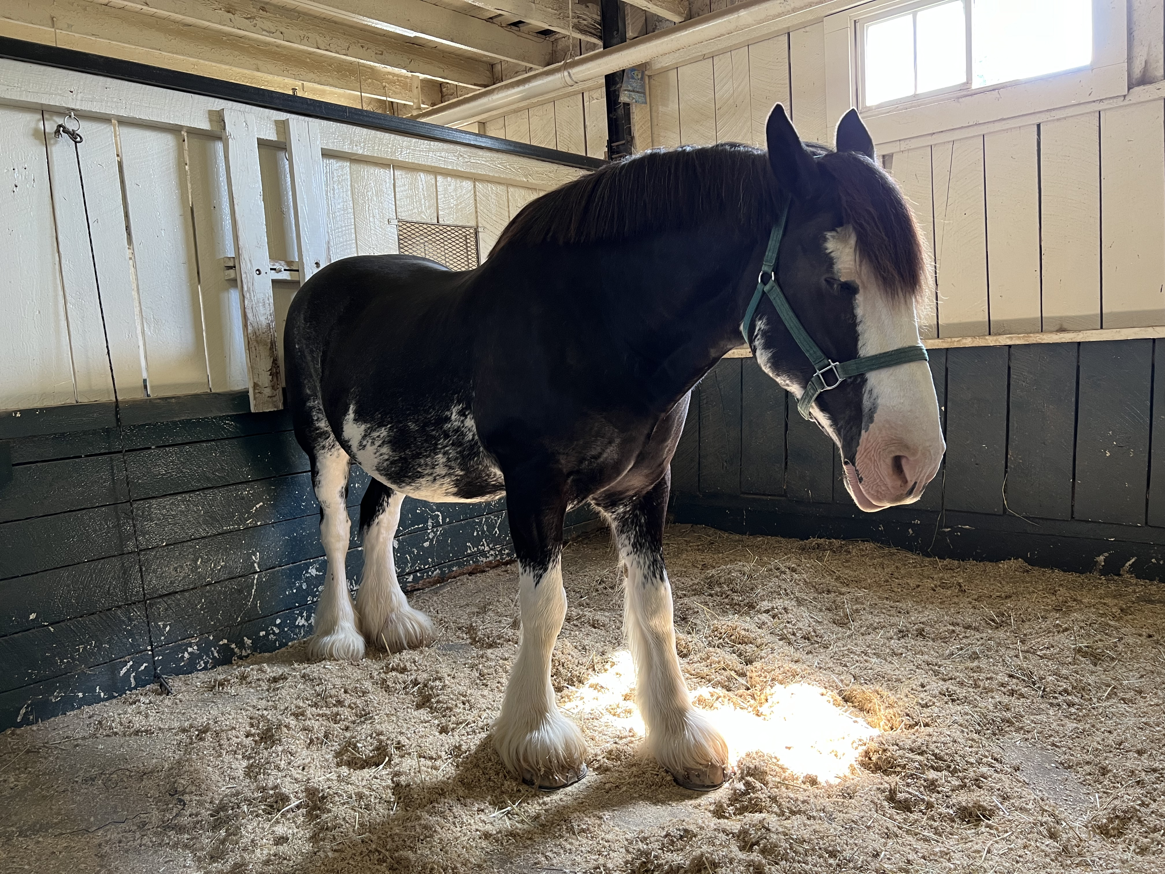 ./2023/12 - Kentucky/IMG_0200.jpg